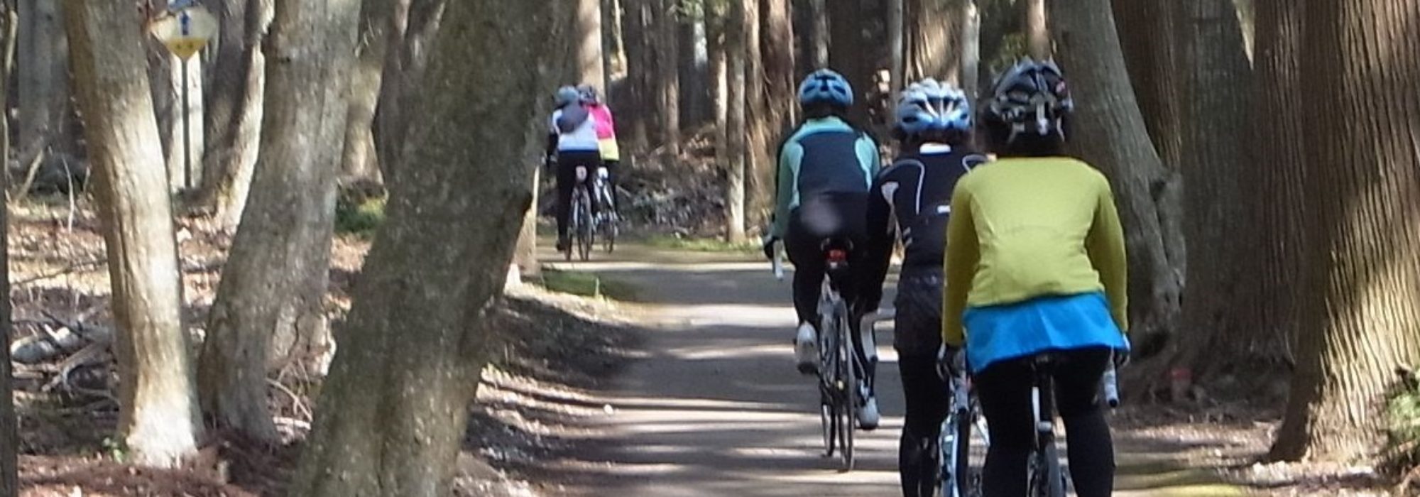 CYCLE HOUSE GIRO　千葉　サイクルハウスジロ　
